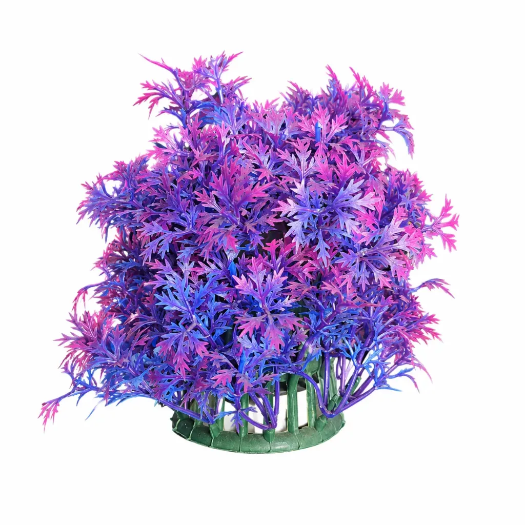 Arbusto pequeño